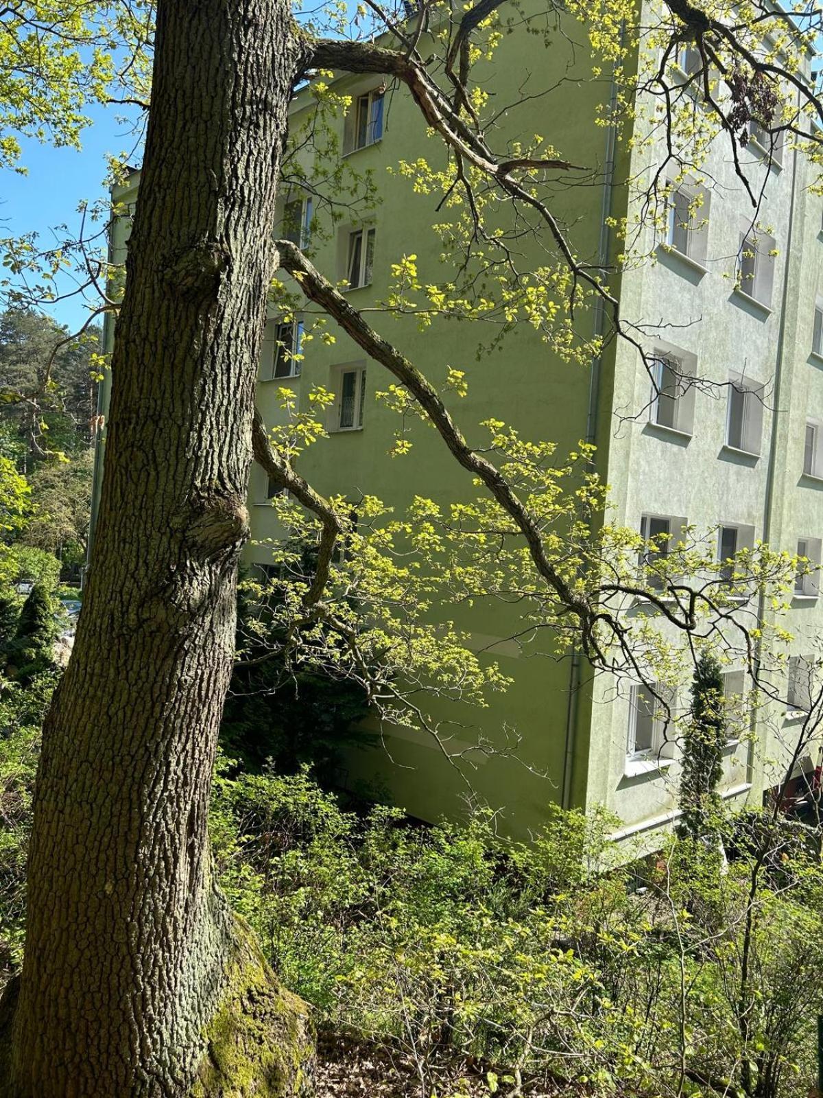 Apartament Przylesie Sopot Buitenkant foto